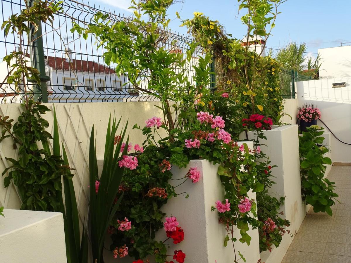 Casa Dos 2 Patios By Stay In Alentejo Vila Nova de Milfontes Dış mekan fotoğraf